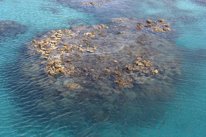 Восьмое чудо света - Большой Барьерный риф Австралии-Great Barrier Reef 98608