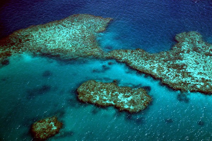 Восьмое чудо света - Большой Барьерный риф Австралии-Great Barrier Reef 46637