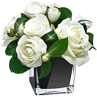 белые розы в стеклянной вазе (200x200, 56 Kb)