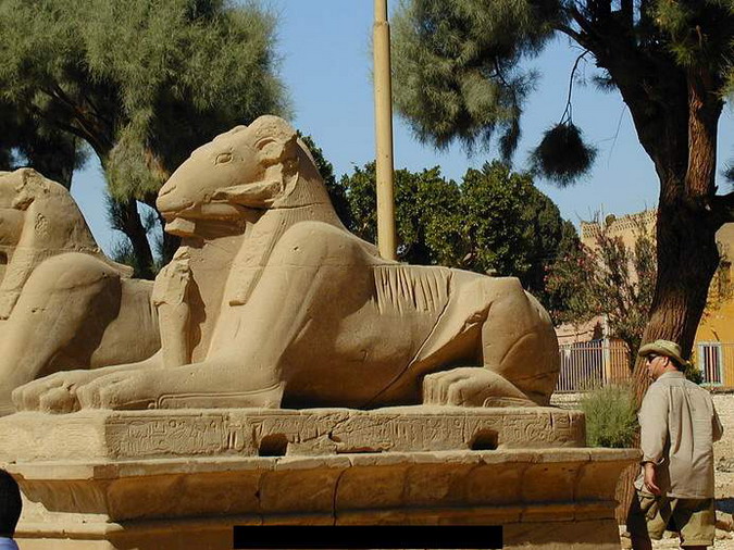 Храм Карнак в Луксоре, авеню сфинксов (675x506, 136Kb)