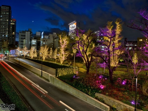 Рождественский Токио Roppongi-Christmas-2010-005-G2641-600x450 (Roppongi Christmas Lights)