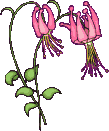  (109x131, 9Kb)