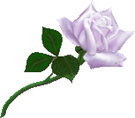  (153x134, 13Kb)