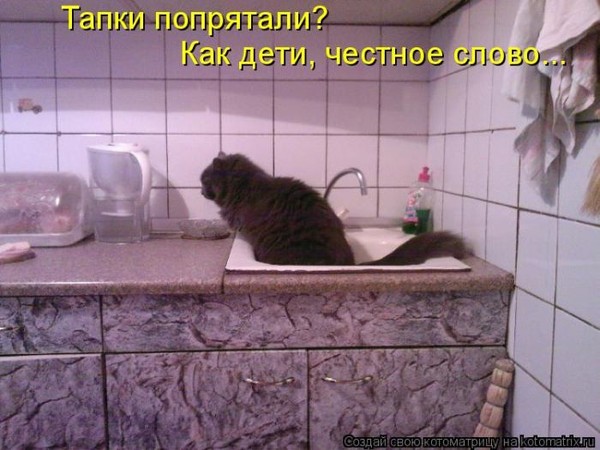 http://img1.liveinternet.ru/images/attach/c/2//68/607/68607739_1293828173_kotomatrix_46.jpg