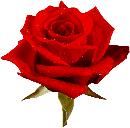 Копия Анимационная роза в виде красного сердечка (455x445, 177 Kb)