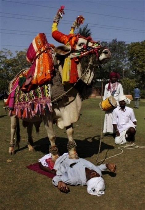 Макар Сакранти фестиваль (Makar Sankranti festival) в Калькутте, Индия, 13-14 января 2011 года.