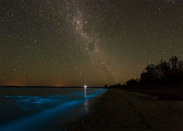 1295465632_bioluminescent_lake_04 (600x431, 35 Kb)