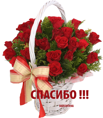 http://img1.liveinternet.ru/images/attach/c/2//69/630/69630002_basketSPASIBO.gif