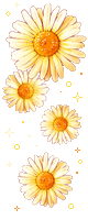  (80x200, 19Kb)