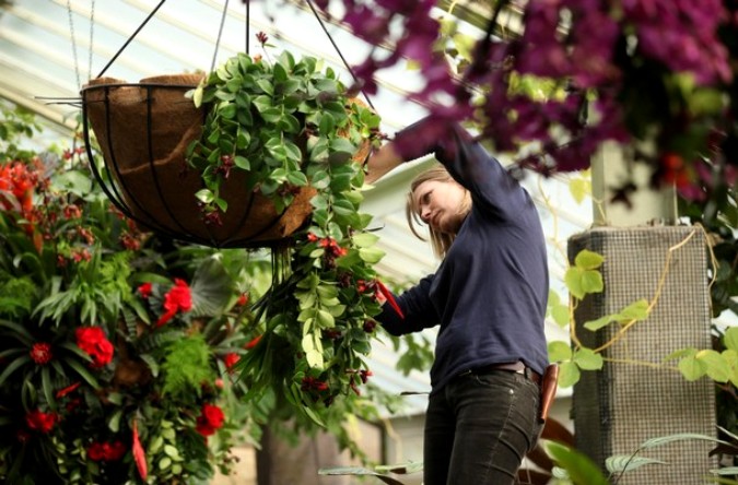 Экзотика тропиков на фестивале в Кью Гарденс (Kew Gardens), Лондон, 3 февраля 2011 года.