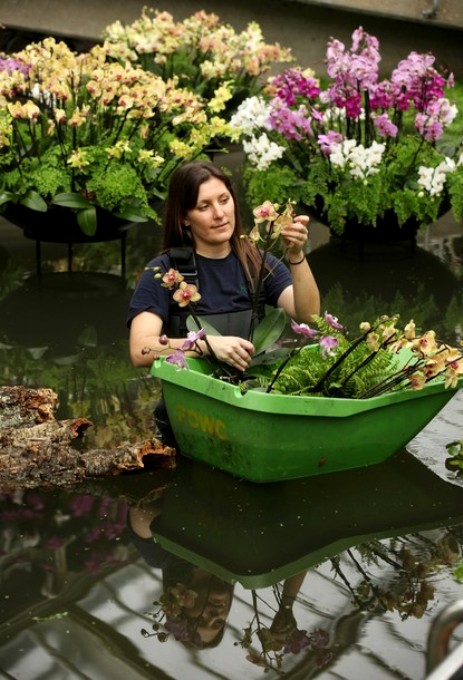 Экзотика тропиков на фестивале в Кью Гарденс (Kew Gardens), Лондон, 3 февраля 2011 года.