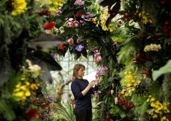 Экзотика тропиков на фестивале в Кью Гарденс (Kew Gardens), Лондон, 3 февраля 2011 года.