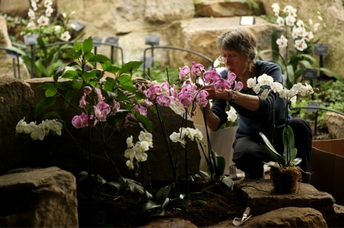 Экзотика тропиков на фестивале в Кью Гарденс (Kew Gardens), Лондон, 3 февраля 2011 года.