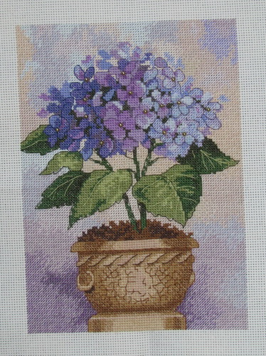 Dimensions. Hydrangea in Bloom (374x500, 122Kb)