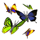 бабочки порхают (133x133, 100 Kb)