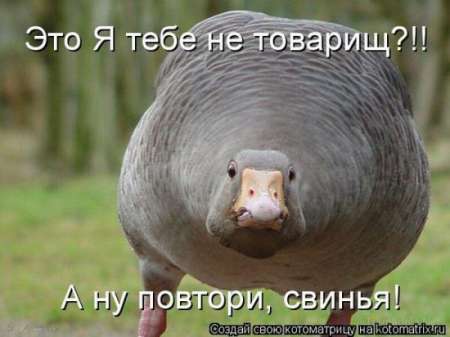 http://img1.liveinternet.ru/images/attach/c/2//71/122/71122267_1298487458_1293475199_1293310829_1293174715_kotomatrix_30.jpg