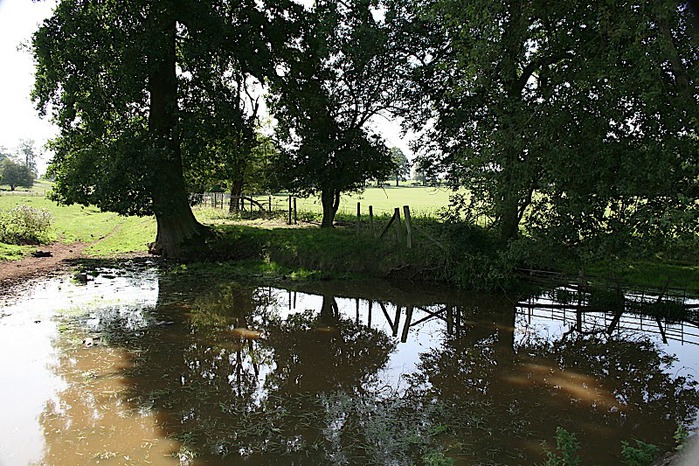 усадьбa Хэнбери Холл (Hanbury Hall), Вустершир 84020