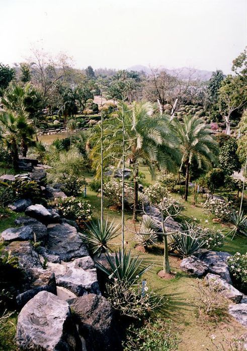 Тропический сад Нонг Нуч. Таиланд Занесен в книгу рекордов Гинесса!!! 