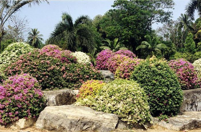 Тропический сад Нонг Нуч. Таиланд Занесен в книгу рекордов Гинесса!!! 