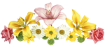  (150x68, 20Kb)