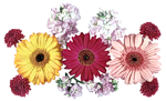  (150x91, 31Kb)
