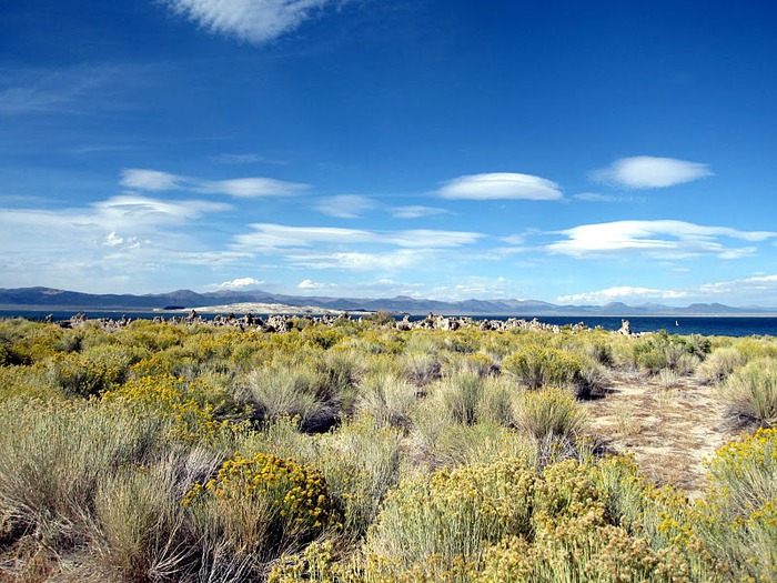 Озеро Моно - Mono Lake, 10910