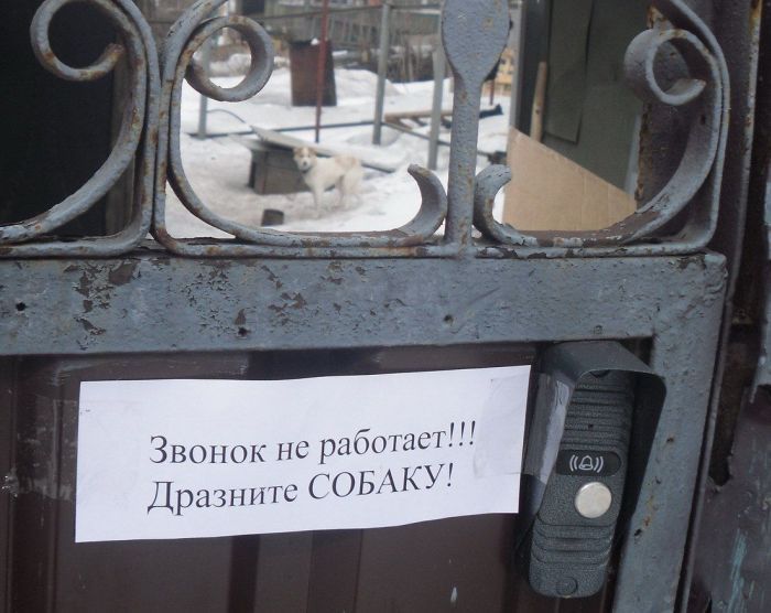 приколы