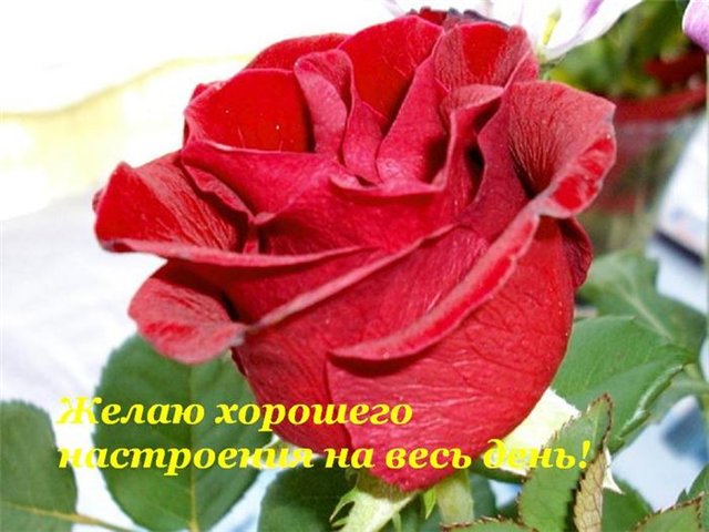 http://img1.liveinternet.ru/images/attach/c/2/64/425/64425618_eb9510c31095.jpg