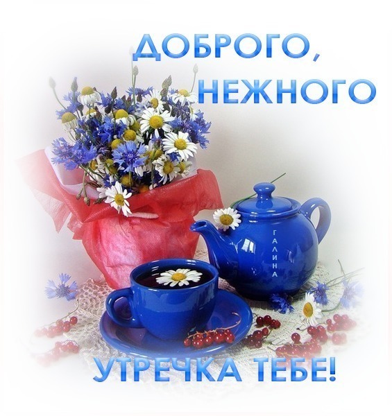 http://img1.liveinternet.ru/images/attach/c/2/68/395/68395742__1_111.jpg