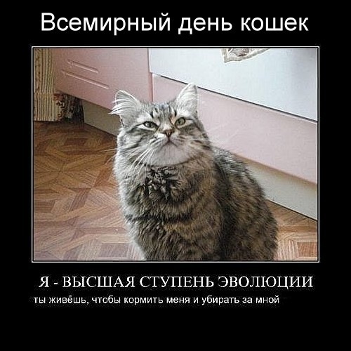 Ну! За весну. И за кошек с котами!: luganskiy_lgua