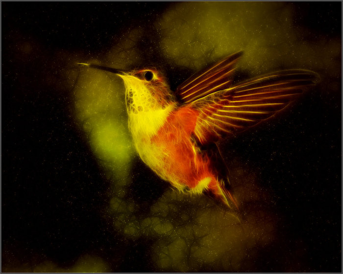 Holy_Fractal_Hummingbird_by_PimArt (700x560,  72Kb)