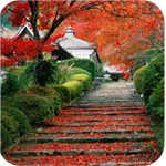 4292192_5104718_Garden_Staircase_Kyoto_Japa_kopiya (150x150, 60Kb)