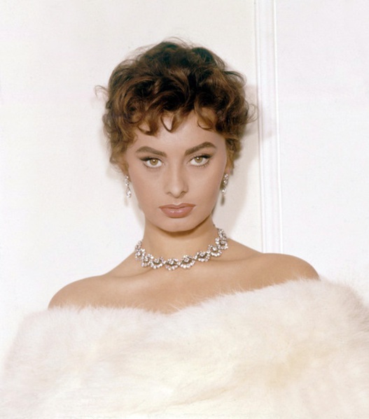 sophialoren1681 (527x600, 57Kb)