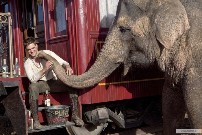 Фильм ВОДЫ СЛОНАМ (2011г) kinopoisk.ru-Water-for-Elephants-1451970 (700x466, 403Kb)