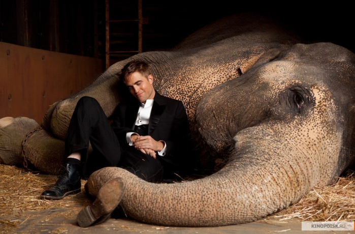 Фильм ВОДЫ СЛОНАМ (2011г) kinopoisk.ru-Water-for-Elephants-1550562 (700x460, 337Kb)