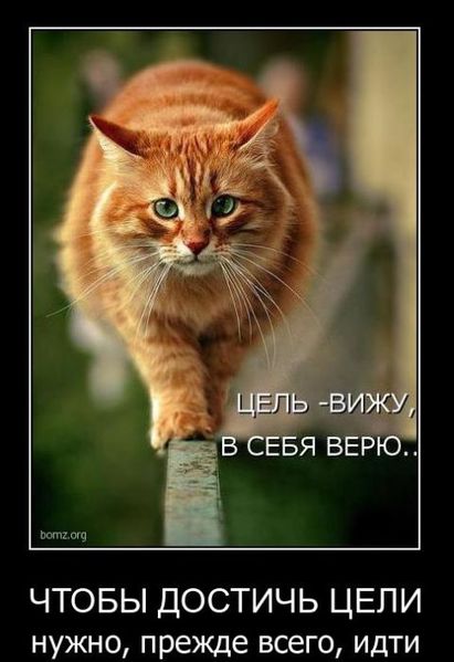 http://img1.liveinternet.ru/images/attach/c/2/73/475/73475377_cel_vizhu_v_sebya_veryu.jpg