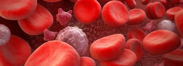 17 апреля - Всемирный день гемофилии (World Hemophilia Day)/2270477_10_2_ (610x220, 39Kb)