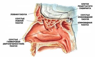 4244630_gaymorit_1 (312x188, 23Kb)