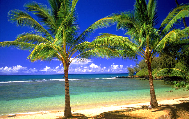 Proshots - Tropical Lagoon - Professional Photos (650x408, 670Kb)