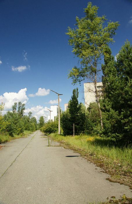 Чернобыльская АЭС имени В.И. Ленина (современные фотографии) Chernobyl13 (454x700, 59Kb)