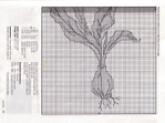  pg 55 (700x519, 330Kb)
