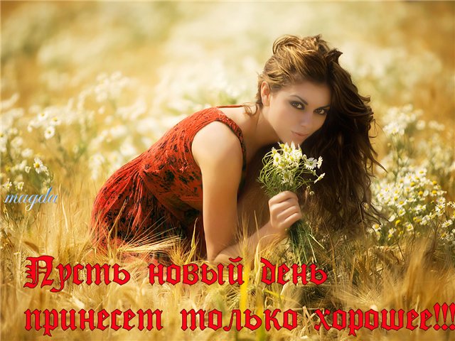 http://img1.liveinternet.ru/images/attach/c/2/73/738/73738849_cb397ebf9f01.jpg
