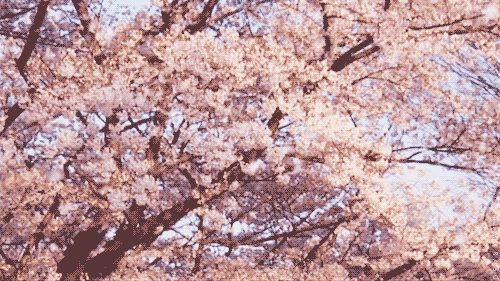 3749748_tumblr_liafwrXPsp1qd5eydo1_500 (500x281, 498Kb)