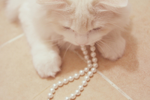 3749748_tumblr_lisfxrL9hF1qfah2vo1_500 (500x334, 69Kb)