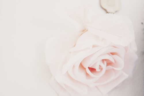 3749748_tumblr_ljxfuz34Yu1qb62q0o1_500 (500x334, 156Kb)