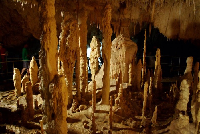 Медведь Пещера в селе Chiscau - Румыния - Bears' Cave, Chiscau, Romania, 69837