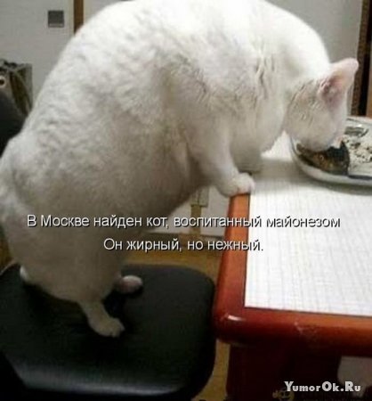 1248257668_prikolnye_kartinki_zhivotnykh_s_podpisja (418x450, 29Kb)