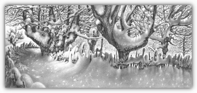 1293523407_beautiful_winter_drawings_46 (640x301, 54Kb)