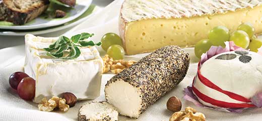 2222299_cheese_plate (520x241, 25Kb)