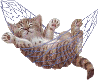 41143265_kotik_gamak (199x164, 35Kb)